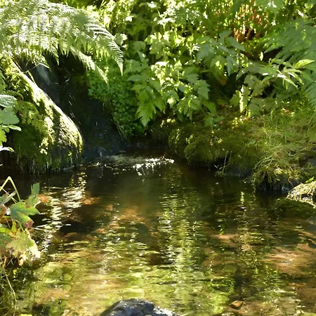 Apartamento Am Nettenbach Bernau im Schwarzwald